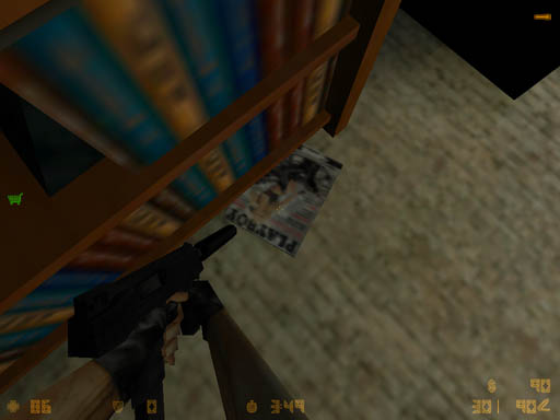 Playboy2